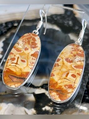 Birds Eye Rhyolite Jasper Earrings 2”